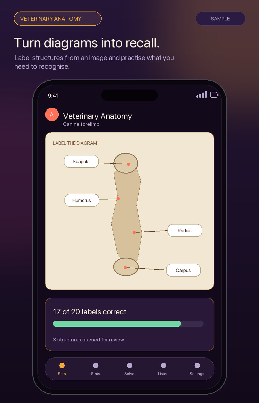 Illustrative ALL diagram practice view showing labels on canine forelimb anatomy and a review count.