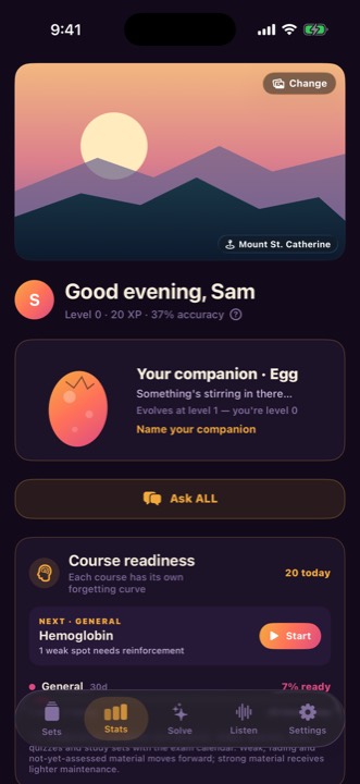 Stats screen with a study companion, level and accuracy, and course readiness.